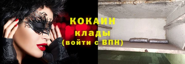 мяу мяу мука Гусев