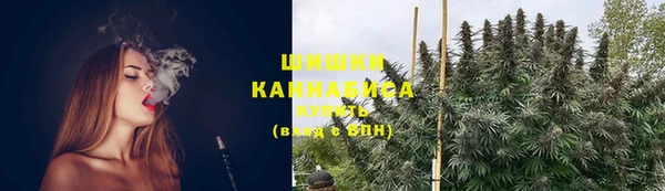 не бодяженный Гусиноозёрск