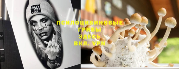 метамфетамин Гусь-Хрустальный