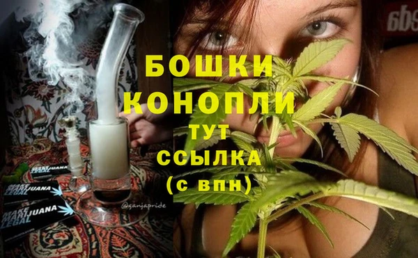 не бодяженный Гусиноозёрск