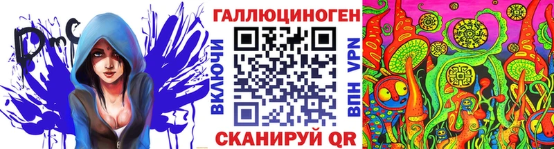 Купить закладки  Заинск  Галлюциногенные грибы Psilocybe 